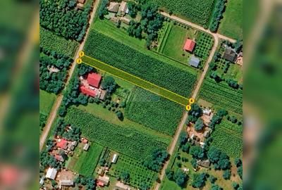 Teren intravilan 1.500 mp, 2 fronturi, Hilișeu-Horia, Botoșani - 3