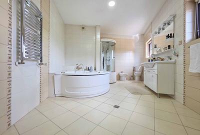 Conac exclusivist | Slănic-Moldova | View Superb |  Domeniu 17.000 mp | SPA&LAC - 21