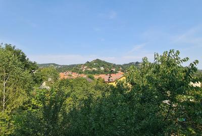 Apartament boieresc pe două niveluri, în Centrul Istoric - 20
