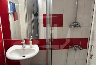 Apartament 2 camere, zona Centrala, pet friendly - 6