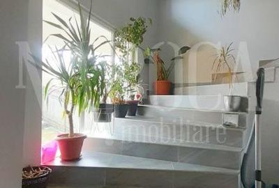 Casa 8 camere de vanzare in Luna de Sus - 6