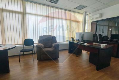 Hala de vanzare Drumul intre Tarlale - Pallady - 13