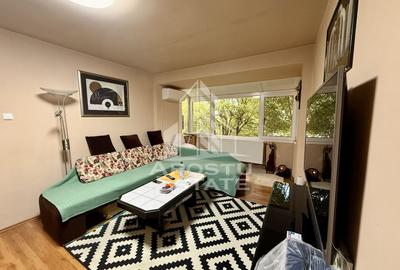 Apartament cu 2 camere semidecomandat, mobilat în Tipografilor