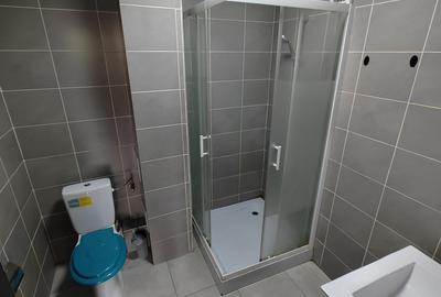 Duplex - Pet Friendly - curte proprie – Tei - 13
