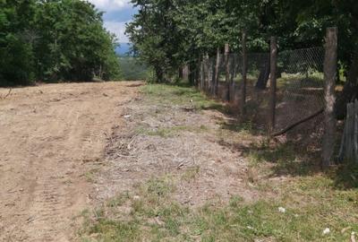 Teren zona montana in com.Turcinesti Jud.Gorj - 5