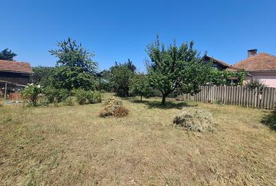 Casa de vanzare - in Orastie - 18