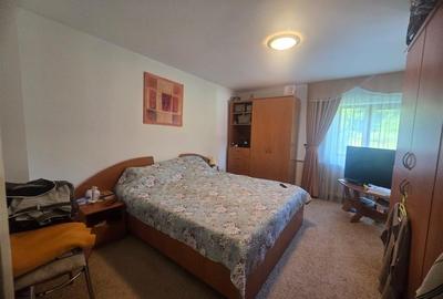 Casa in Luncani cu teren 5500 mp - 12
