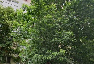 Iancului, Avrig, ap.2 camere, et.3, 51mp, 450Euro/luna - 11