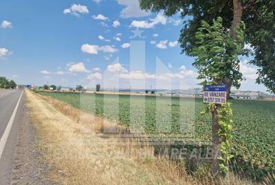 Teren agricol | La sosea | 9100 mp | 40 ml deschidere - 1