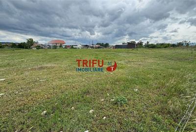 Teren Construcții intravilan de 5500 mp, în Sebeș