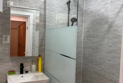 Inchiriere Apartament 2 camere Decomandat Drumul Taberei - 8