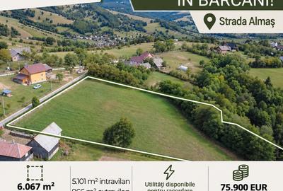Teren Construcții intravilan de 6067 mp, în Barcani