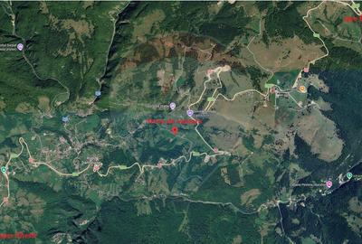 Teren 4,220mp Dambovicioara / Soseaua Podu Dambovitei - 10