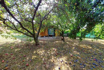 Vila în Faget | Teren 2.412 mp| Sauna, Jacuzzi & Graadinaa superba - 15