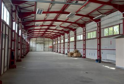 Biruintei - Selgros - Inchiriere spatiu 500 mp, depozitare si birouri - 2
