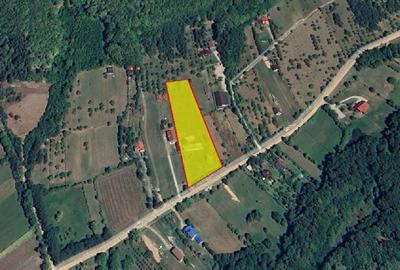 Teren Construcții intravilan de 7200 mp, în Zăbala