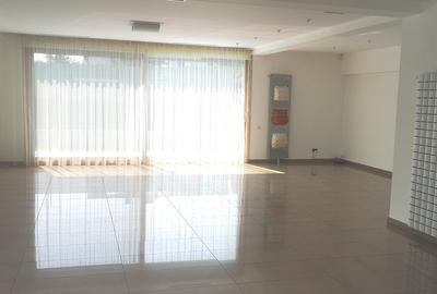 Vila moderna 4 dormitoare nemobilata Iancu Nicolae - 9