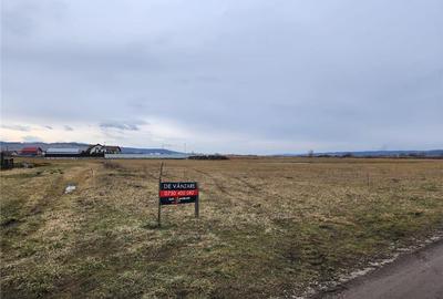 Teren intravila drept, loc de casa , 1300 mp Ernei,  Mures, zona linistita - 4