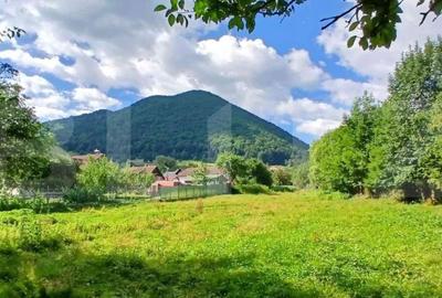 Casă 132 mp + teren 990 mp + 1997 mp inclus, Zărnești | Airbnb activ, review - 1