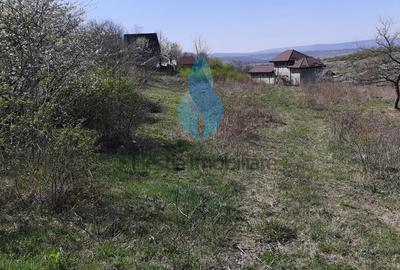 1309mp teren intravilan pentru constructii, Barnova. - 3