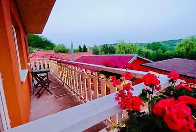 Casa cu destinatie multipla, teren de 1560 mp,  piscina,  Feleacu - 10