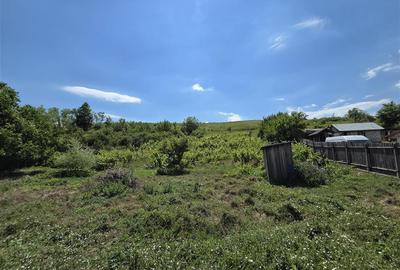 Teren 4800MP - Tomesti - La Soseaua Principala - 11