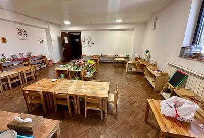 Casă cu 17 camere în Iancu Nicolae