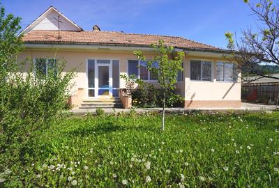 Casă cu 3 camere în Alexandru cel Bun
