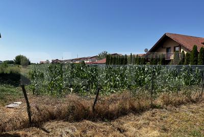 Teren agricol extravilan de 1267 mp, în Exterior Est