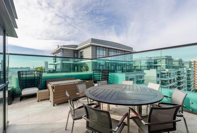 AMAZING PENTHOUSE - LAKE VIEW - 4