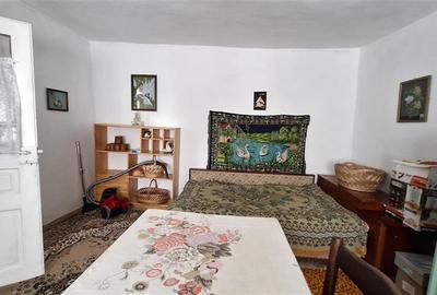 Casa cu teren 2783 mp- Panciu-Satu Nou - 6