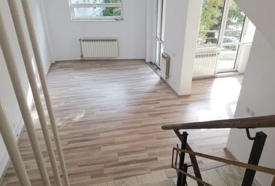 Vila la inchiriere in zona Titulescu - 11