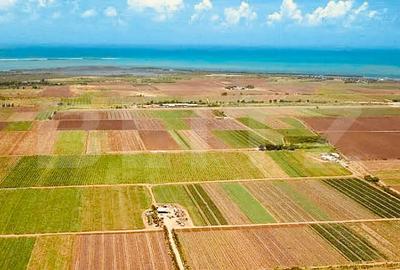 Teren agricol extravilan de 22100 mp, în Făgăraș