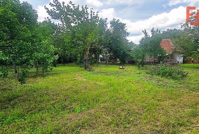 Casa spatioasa de vanzare in Ineu, Jud. Arad - 24