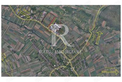 Teren Intravilan | 10.012 mp | Nușfalău | Sălaj - 1