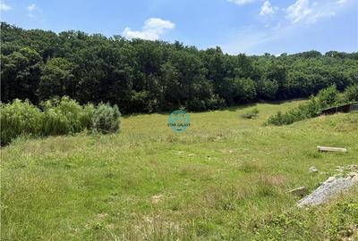 Vand teren 2500 mp in Unirii zona Laboratorului Denisa - 8