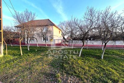 Casă individuală cu etaj, teren 3000 mp, grădină și solar – Satchinez - 1