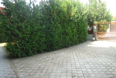 Fully furnished villa in Pipera - 33