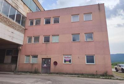 Cladire industriala cu societate in fuctiune (Miercurea Ciuc, str. Zorilor) - 5