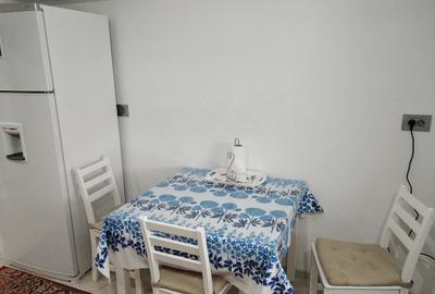 Delfinariu - Apartament modern cu centrala cu gaz - 8