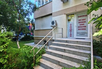 Spatiu comercial parter stradal Bd. Chisinau - 1