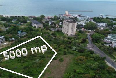 Teren Construcții intravilan de 5000 mp, în Sud
