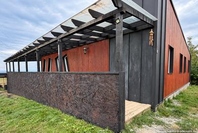 Proprietate cu potențial rezidențial & investițional – Suceava -BURDUJENI - 5