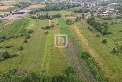 Teren Malini 3600mp | Suceava | Bucovina - 3