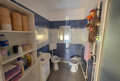 Exclusivitate! Casa P+M înaltă, 4 camere, mobilata, utilata, Valu lui Traian! - 13