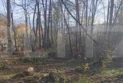 Teren Construcții intravilan de 4363 mp, în Fieni