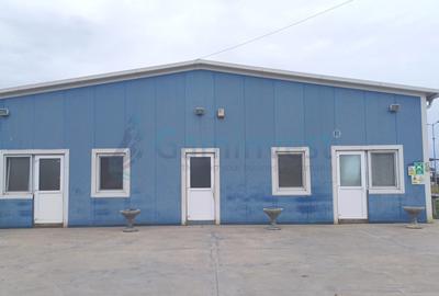 Spatiu industrial de vanzare in Biharia, hala 1200 mp si 23772 mp teren - 4