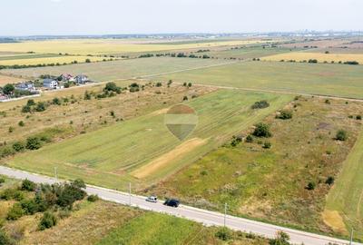 Vanzare teren intravilan, 2.500 mp, Zurbaua, Ilfov/Toate utilitățile - 3