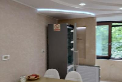 Apartament in centru, la Piata Uniri, direct de la proprietar - 11