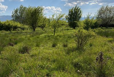 TEREN EXTRAVILAN DE VÂNZARE – ȘELIMBĂR-SIBIU - 2